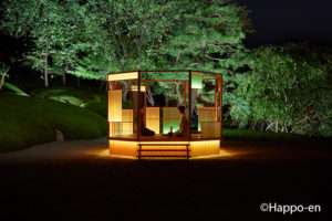 Tokyo Luxury Experiences